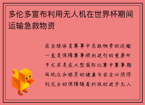 多伦多宣布利用无人机在世界杯期间运输急救物资