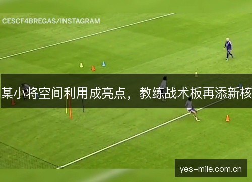 某小将空间利用成亮点，教练战术板再添新核