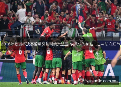 2016年欧洲杯决赛葡萄牙加时绝杀法国 埃德尔的制胜一击与防守细节 2016年欧洲杯决赛葡萄牙加时绝杀法国 埃德尔的制胜一击与防守细节